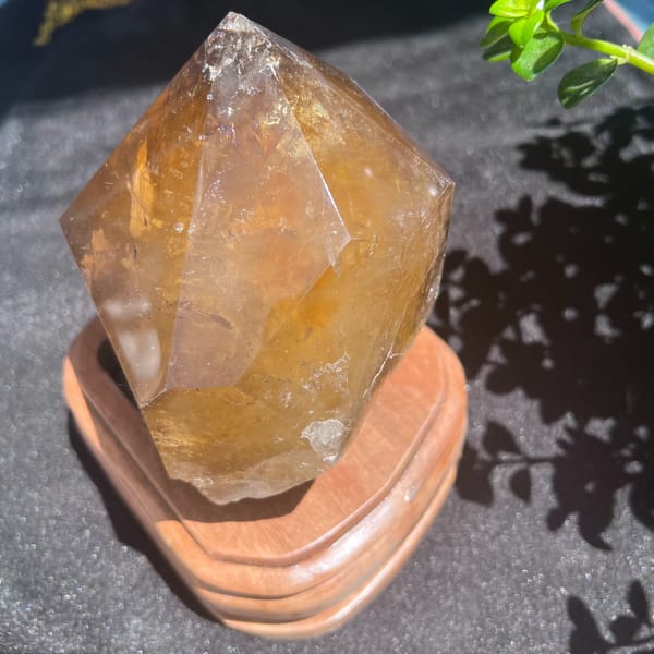 Citrine freeform on a carved wooden stand with leaf shadows behind