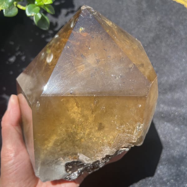 Amber citrine with a clean polished triangle facet and inner glow