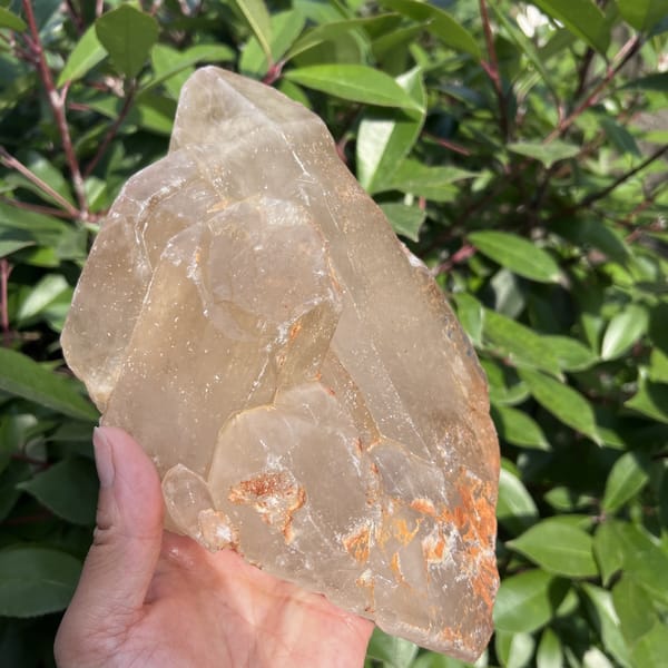 Broad citrine face with small crystals clustered at the lower right