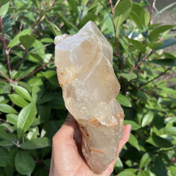 Slim profile of the citrine showing translucent pale yellow crystal