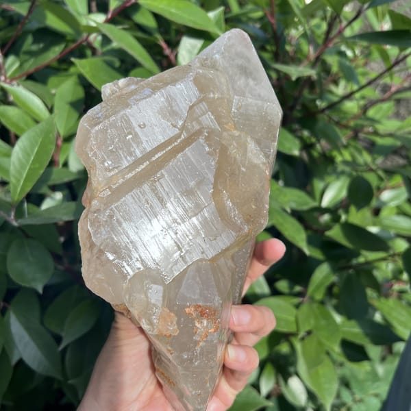 Clear glossy faces of the citrine catching sunlight with fine striations