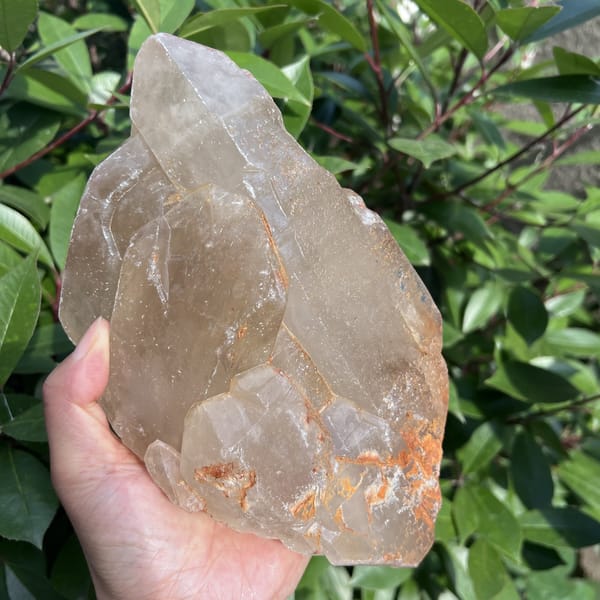 Upright citrine crystal with a champagne tone and pointed main termination