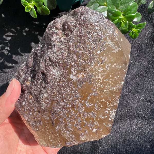 Honey citrine crystal half covered in glittering purple lepidolite, held in hand