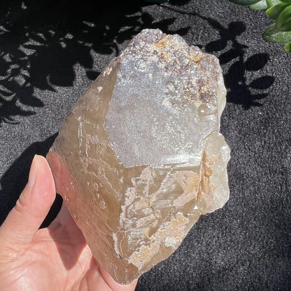 Citrine crystal showing a frosted panel beside clear golden faces