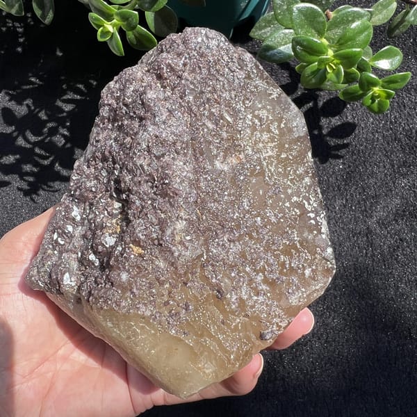 Dense purple-brown mica crust across the back of the citrine specimen