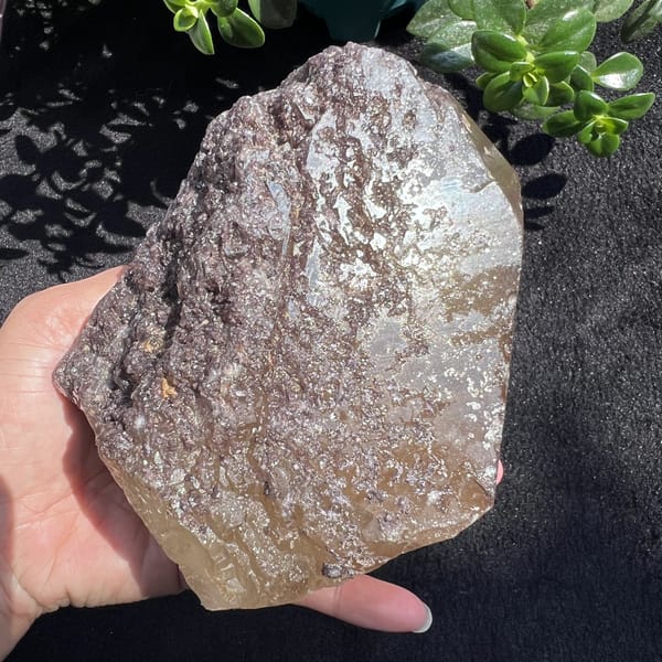 Citrine with lepidolite catching the sun, reflective sheen on the crust