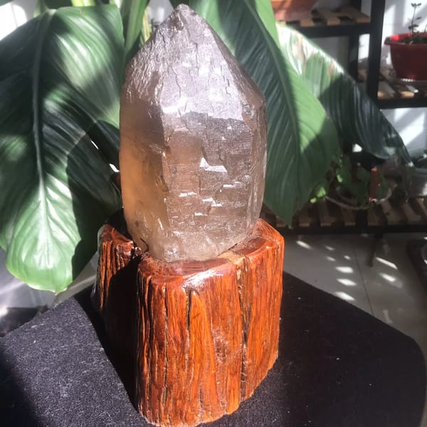 Frosted citrine point with terraced growth lines on its wooden stand