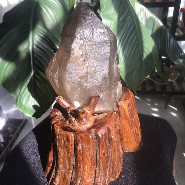 Root-wood stand with a small branch holding the citrine crystal