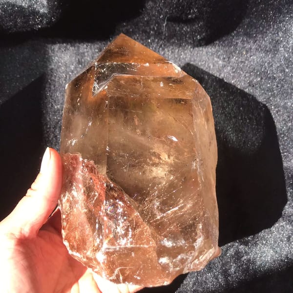 Angled view with golden needles glowing beneath the polished tea-brown faces