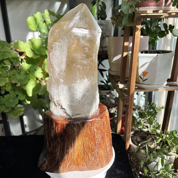 Three-quarter view of the triple-tipped point seated in the carved root stand