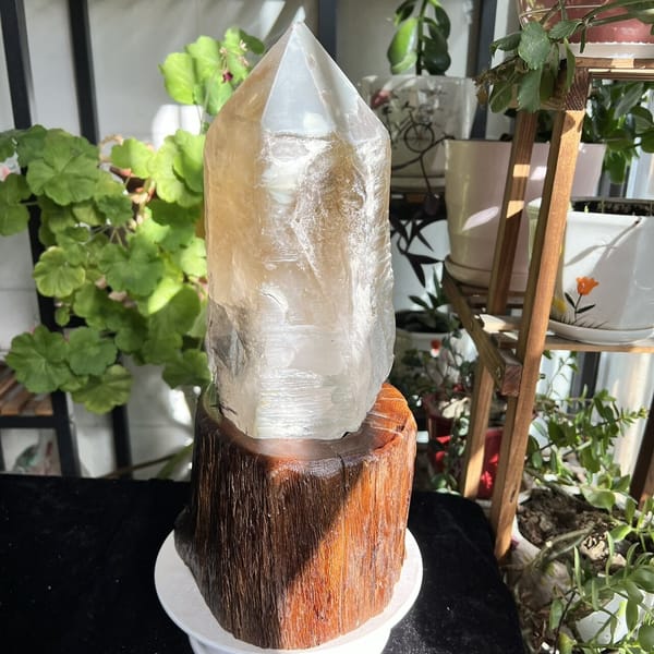 Pale citrine crystal glowing in daylight against potted geraniums