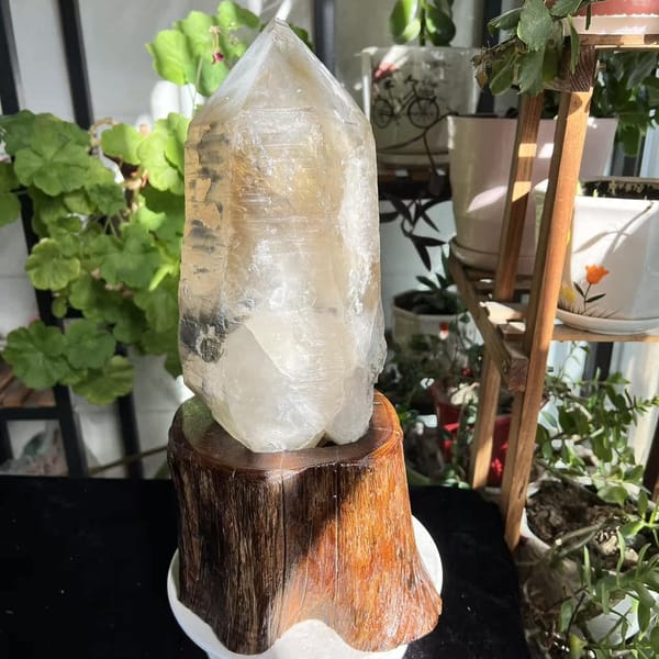 Termination area lit by sun with clear and frosted zones side by side