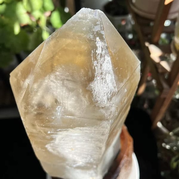 Close-up of the honey-yellow tip showing the multiple crystal terminations