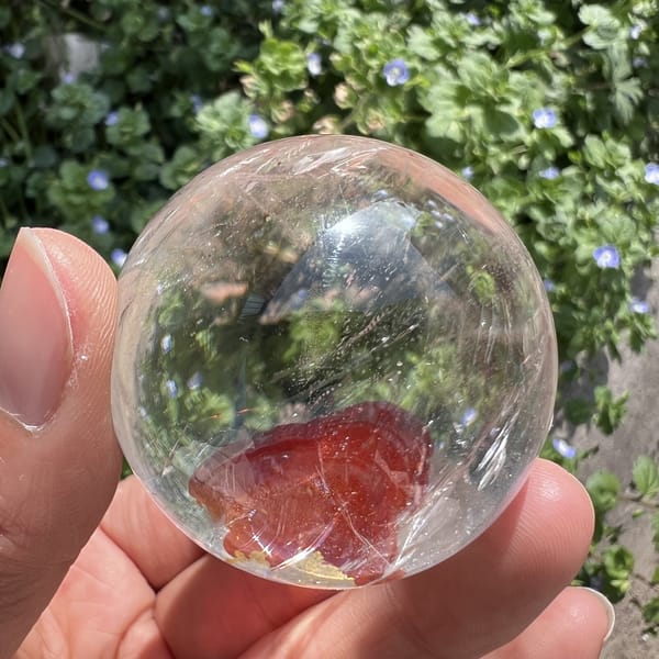 Polished sphere with a darker red inclusion seen through garden reflections