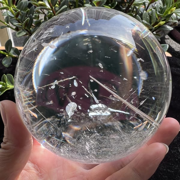 Leaf-shaped inclusions and needles held in a palm against dark plants