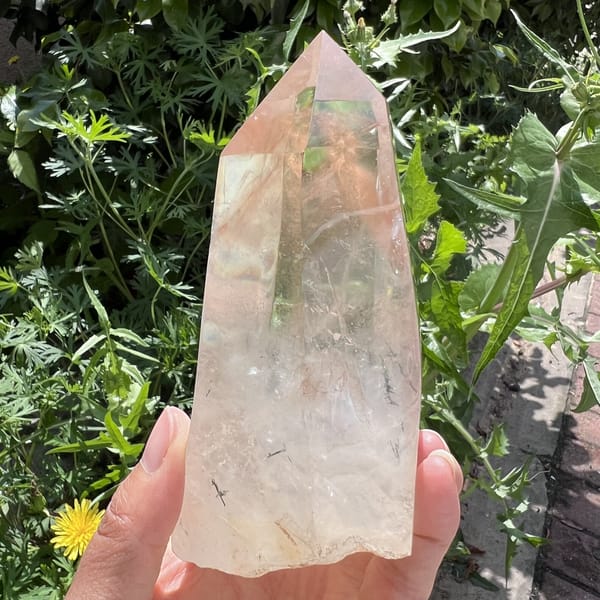 Slim profile of the red Rutilated quartz tower against garden foliage