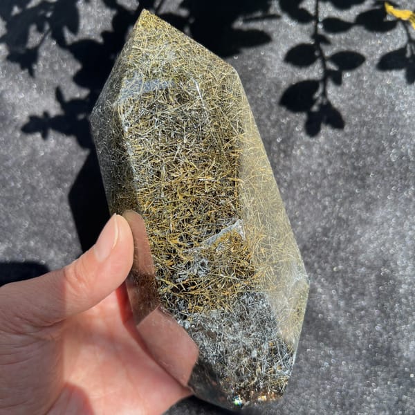 Tower tip and upper body with dense gold and black needles in sunlight