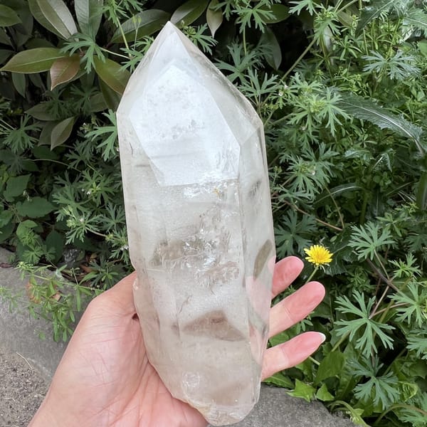 Edge view showing phantom shape and clear upper body