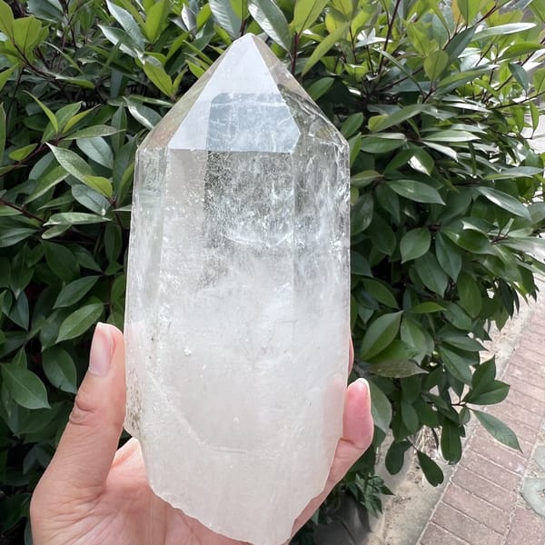 Side view of the Himalayan point and its rough base