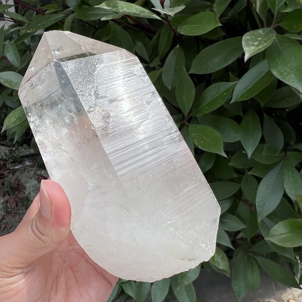 Striated side face with clear and milky zones