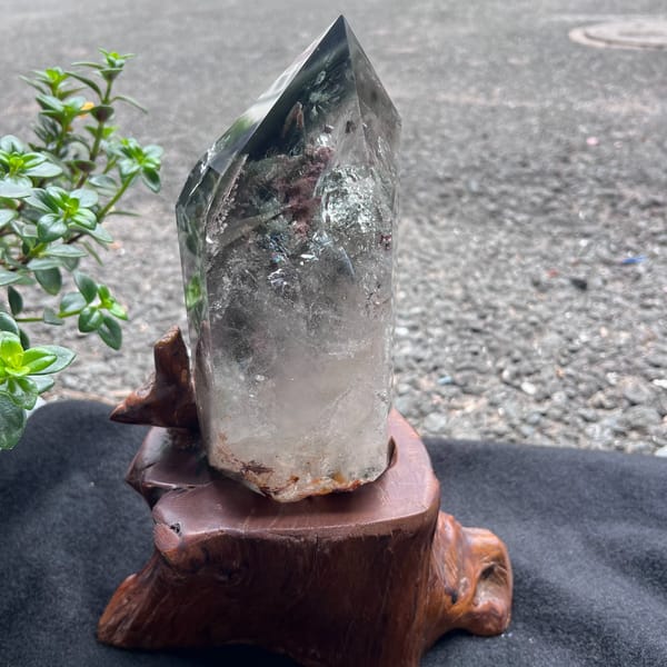 Phantom quartz tower on a carved wooden root stand outdoors beside a small plant