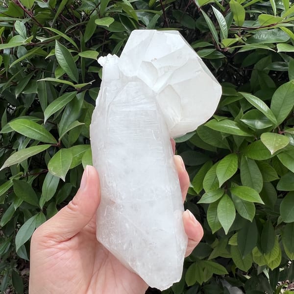 Upright angle with shiny faces on the cap crystals in daylight