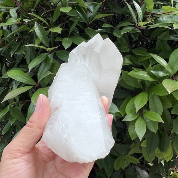 Top view of the joined crystals showing how the two growths meet