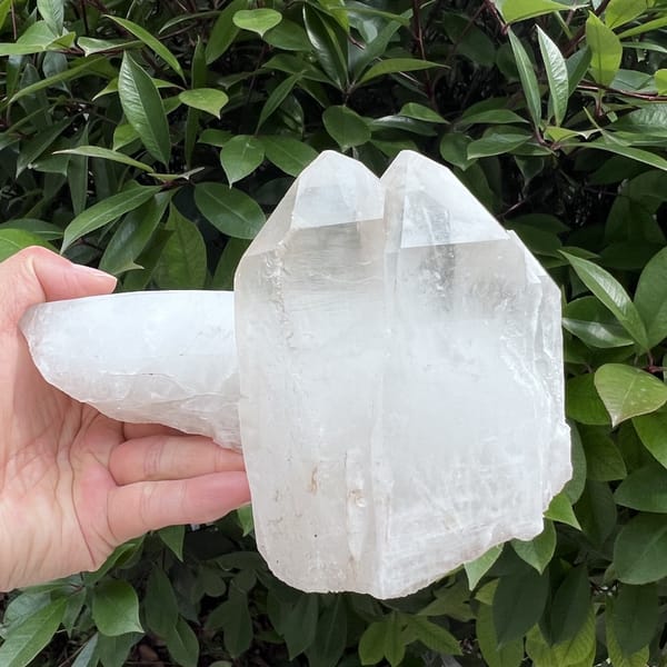 Cap group seen face-on with two clear terminations above milky quartz