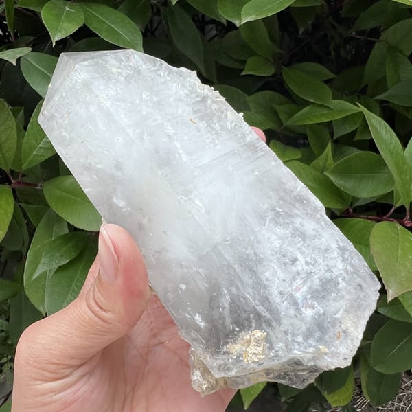 Reverse side of the crystal held horizontally against leaves