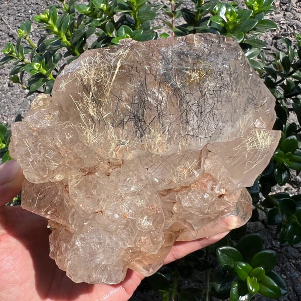 Clear top section packed with golden rutile hairs and black needles
