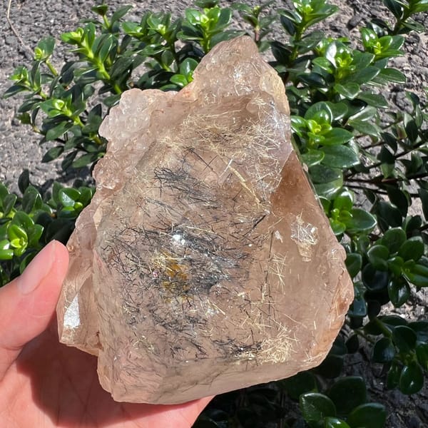 Dense black tourmaline needles crossing a face of the quartz