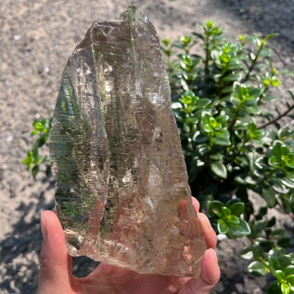 Smoky quartz outdoors on sandy ground beside a small shrub