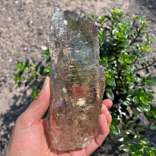 Tall narrow face of the smoky crystal held upright outdoors