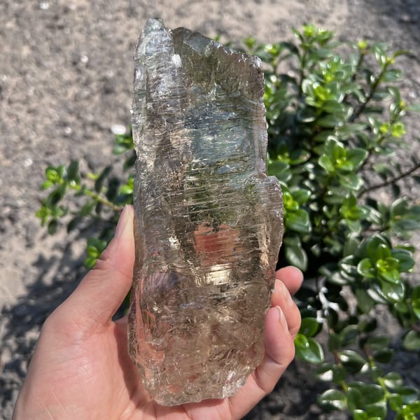 Crystal held in sunlight with a warm smoky tone and stepped faces