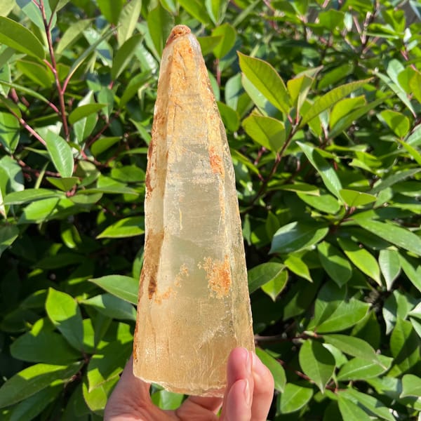Wide face of the laser point glowing honey-gold in sunlight