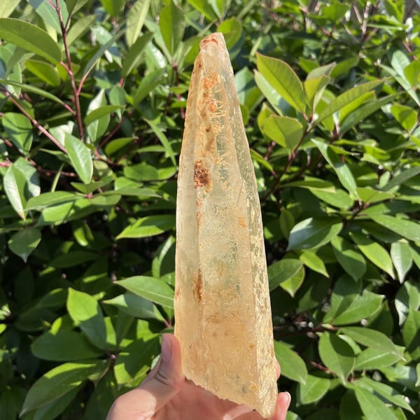 Back of the laser point showing the narrow translucent tip