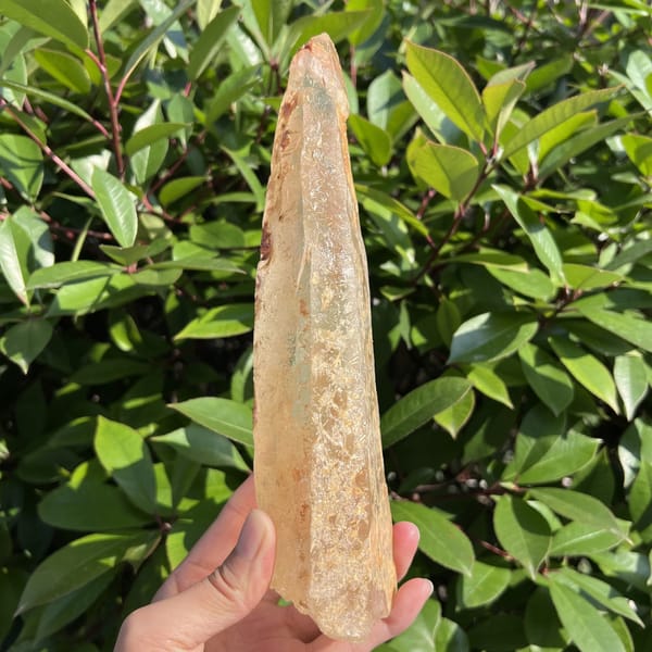 Slim edge-on view of the long crystal against green leaves