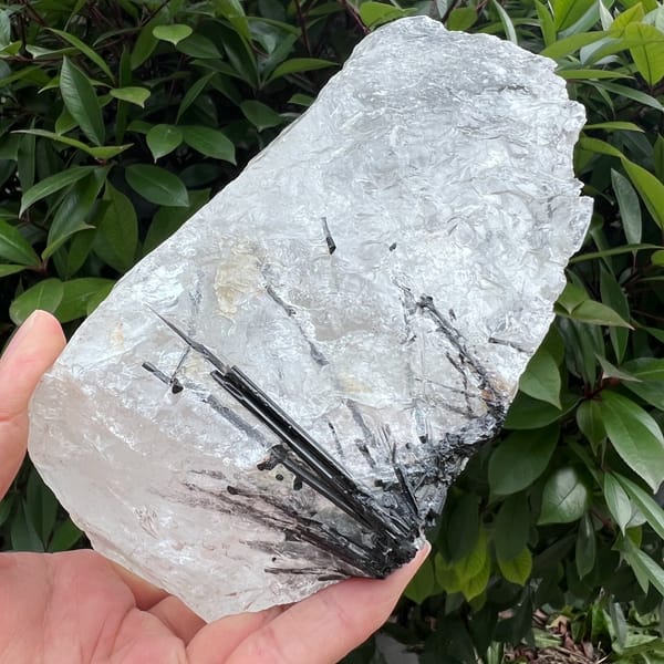 Thick black tourmaline crystals radiating through the clear quartz