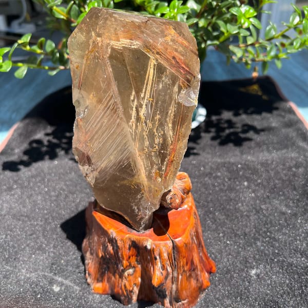 Golden-brown quartz with diagonal rod inclusions lined up like fish bones