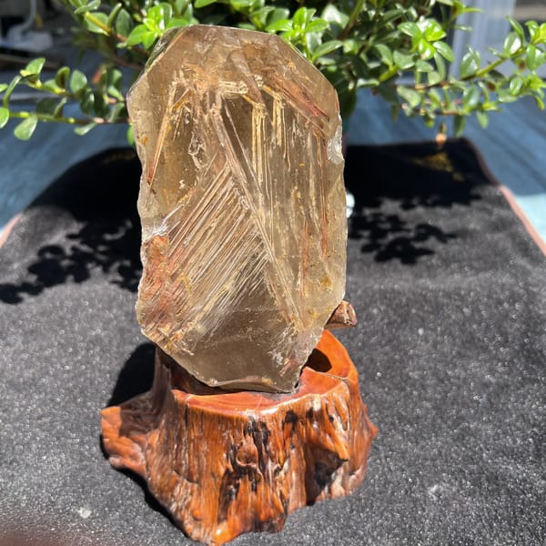 Fishbone rows of inclusions crossing the smoky quartz in bright sun