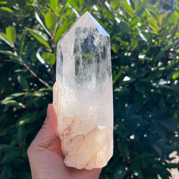 Point held in sunlight with a clear top and peach-skinned crystal base