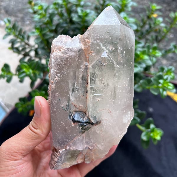 Skeletal clear quartz point with dark tourmaline set into its face