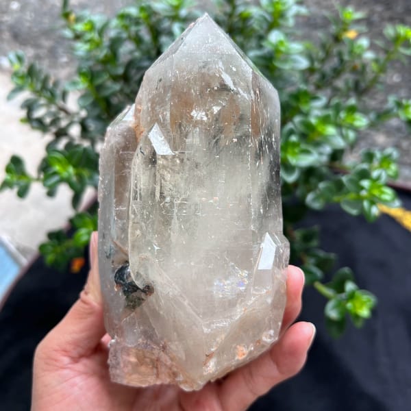 Front of the quartz with glossy faces and a tourmaline crystal at left