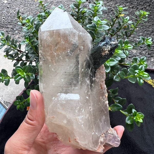 Green tourmaline crystal jutting from the side of the quartz point