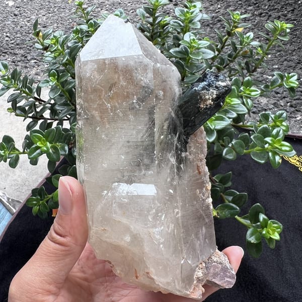 Specimen held upright showing the tourmaline crystal and main point