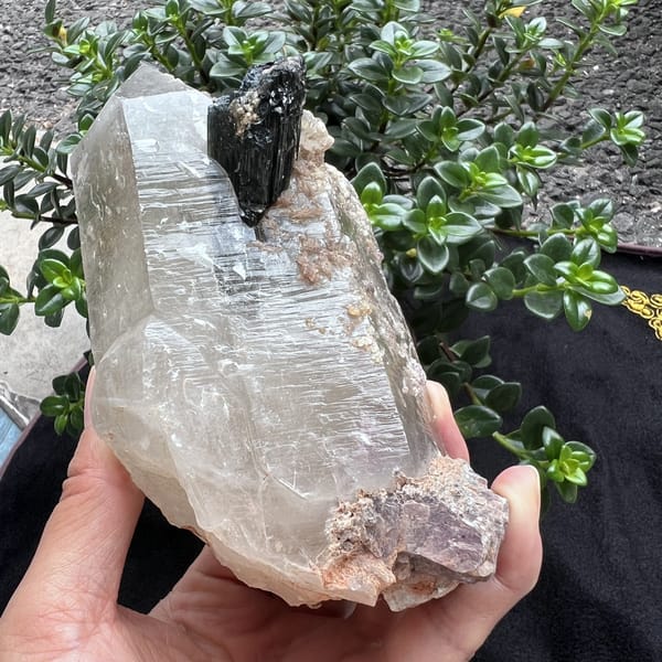 Dark green tourmaline perched on the quartz with lepidolite below
