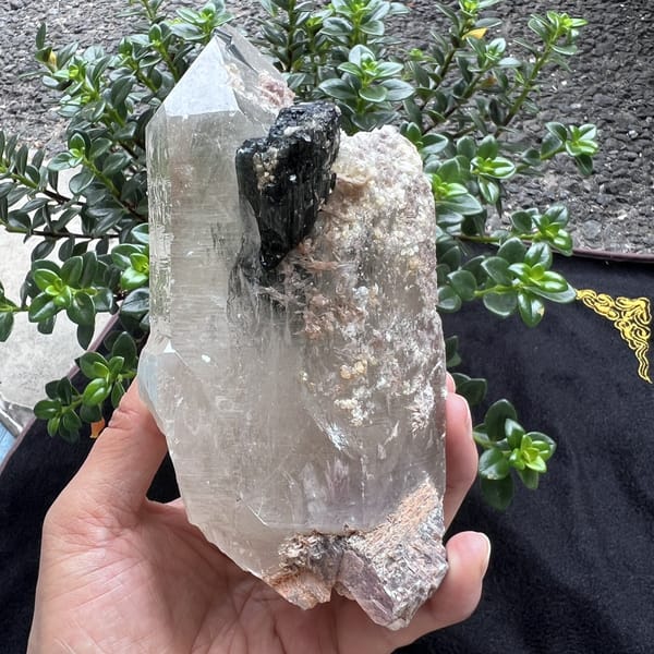 Side view with tourmaline and lepidolite at the base