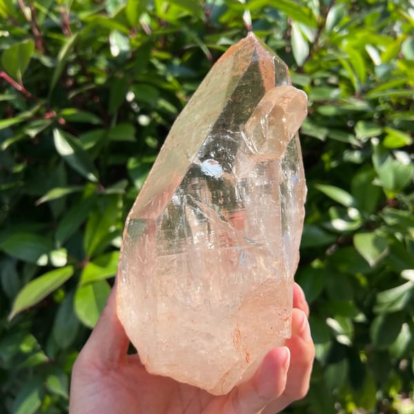 Angled view of the quartz showing the scepter crystal and peach-toned lower body