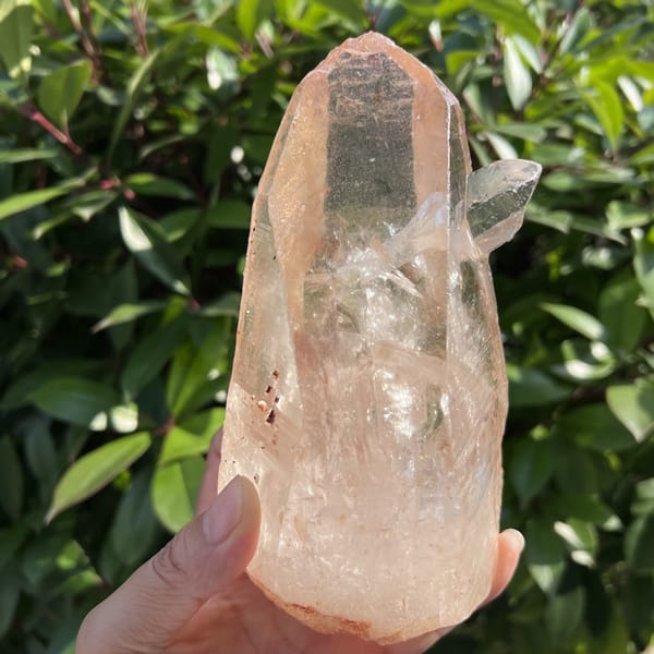 Front view of the Zambian clear quartz crystal held in hand against leaves