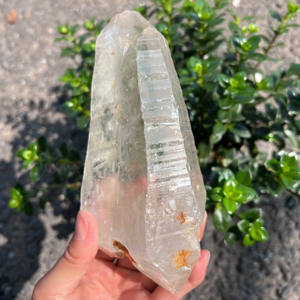 Side of the Himalayan quartz showing a long striated face and second termination